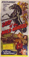 611-last wild horses-3sht.jpg (78332 bytes)