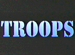 troops1.jpg (13434 bytes)